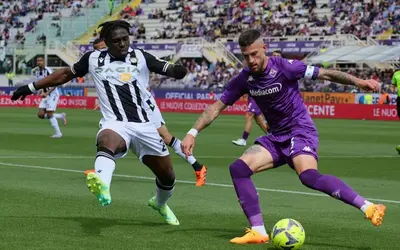 Viola se priključuje vrhu?